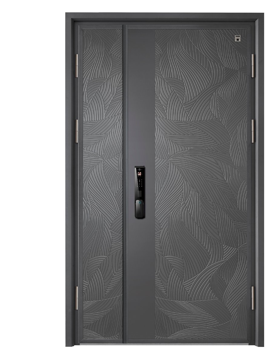 Aluminum iron gray front door