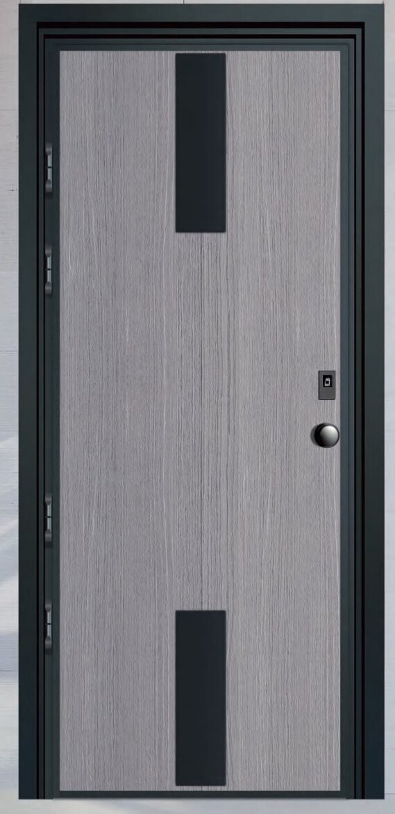 High-end and good-looking home security door