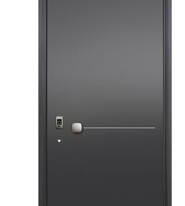 Modern Design Black Aluminum Villa Front Door