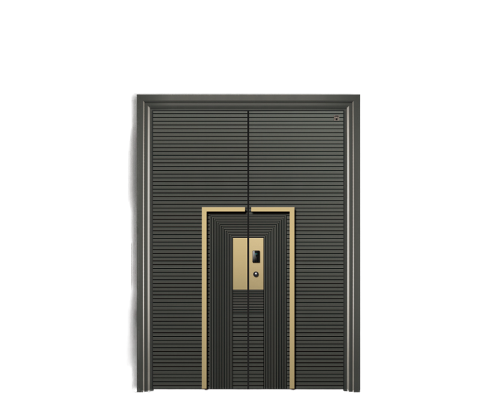 Modern simple dark gray gold decorative double door