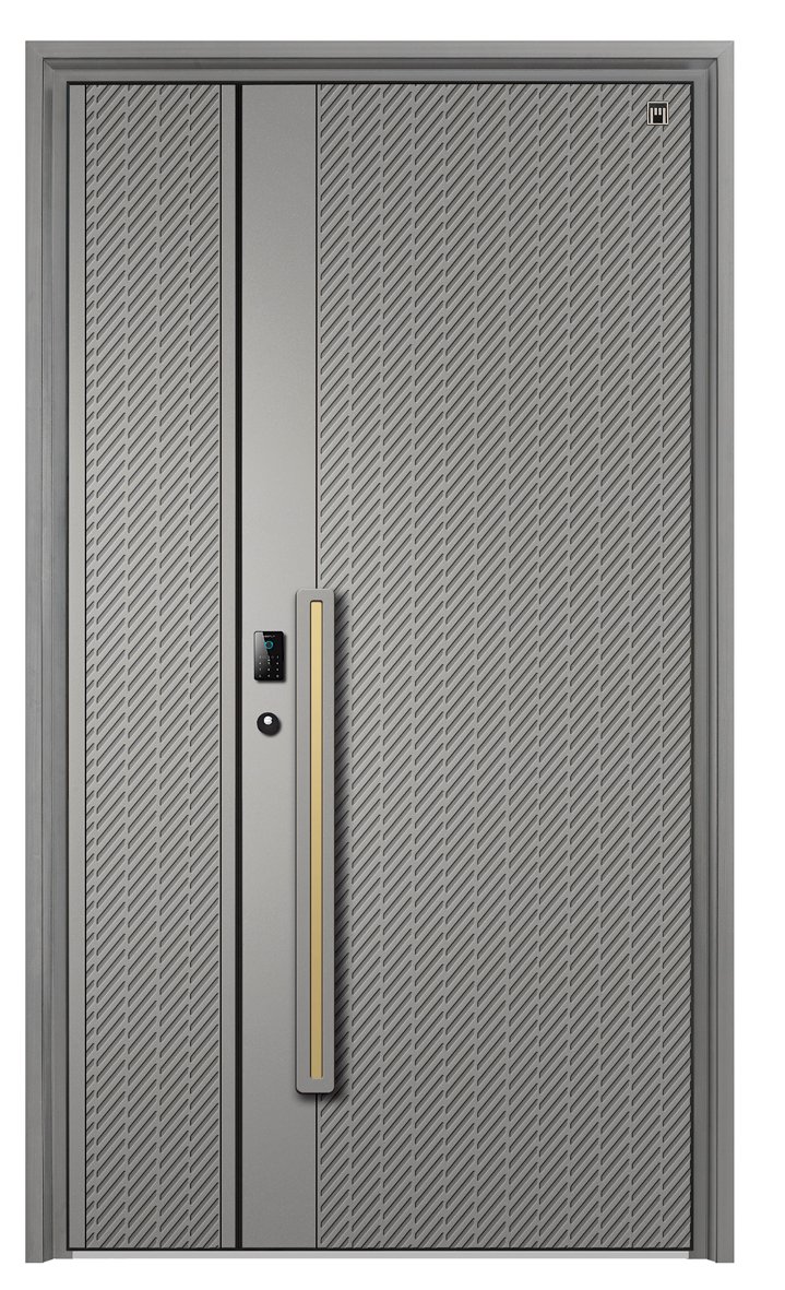 Minimalist art aluminum security door
