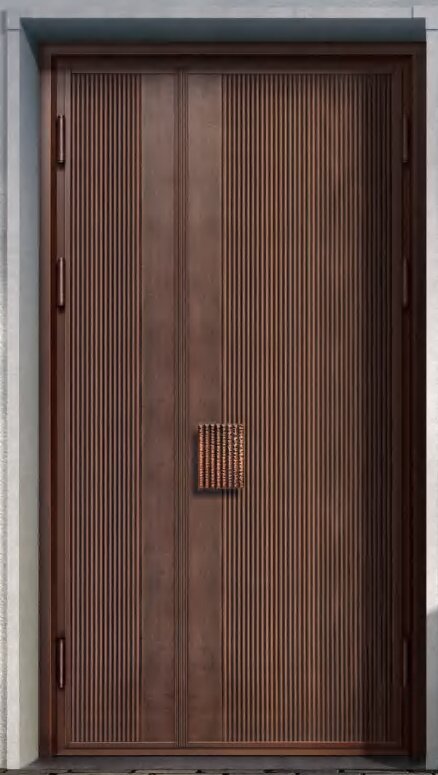 Modern popular residential security door